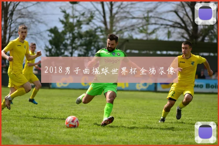 2018男子曲棍球世界杯全场录像